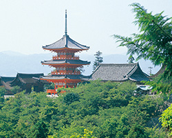 遠くから撮影したお寺の風景