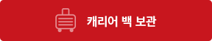 캐리어 백 보관