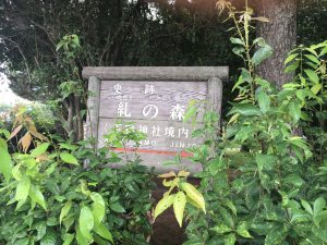 下鴨神社 糺ノ森