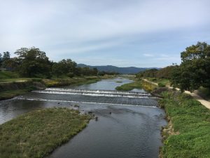 午後の鴨川　葵橋から