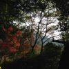 秋の京都　八瀬比叡山口