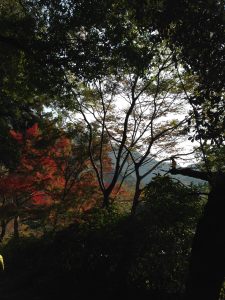 秋の京都　八瀬比叡山口
