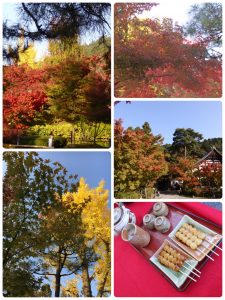 秋の京都お出かけ永観堂