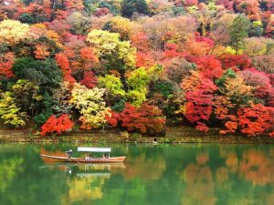 京都花かんざし週末お出かけ情報