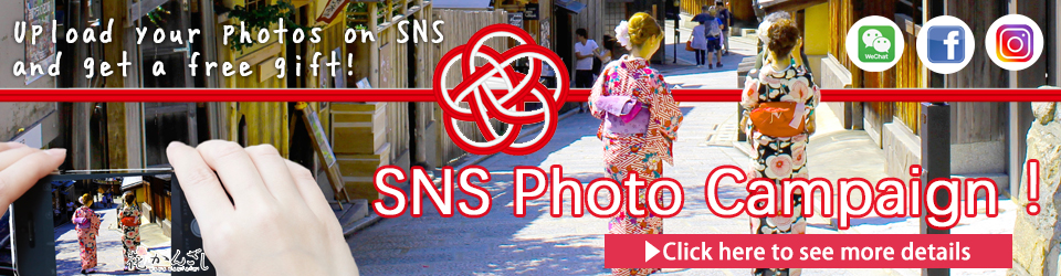 Hanakanzashi SNS photo Campaign2017