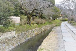 京都着物レンタル花かんざし　哲学の道