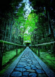 京都着物レンタル花かんざし　大徳寺