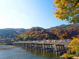 京都着物レンタル花かんざし　秋晴れ