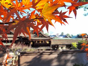 京都着物レンタル花かんざし　秋の京都