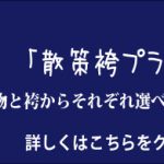 京都着物レンタル花かんざし袴散策プラン