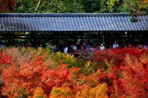 東福寺2