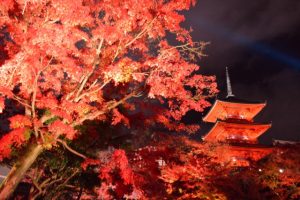 20171113清水寺 (2)