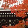 京都着物レンタル花かんざし　南禅寺