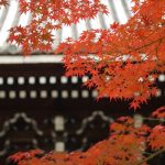 京都着物レンタル花かんざし　南禅寺