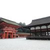 「京都駅」からひと駅 　下鴨神社