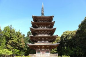 京都駅からひと駅花かんざし　醍醐寺