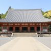 京都駅からひと駅花かんざし　醍醐寺