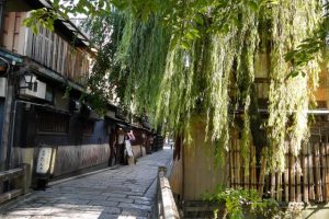 京都駅からひと駅花かんざし　冬の京都