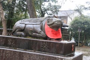 京都駅からひと駅花かんざし　北野天満宮