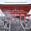 京都駅からひと駅花かんざし　2月の京都