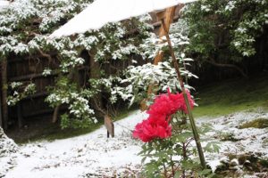 京都駅からひと駅花かんざし　ご来店は一度だけフェア