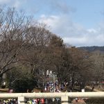 京都駅からひと駅花かんざし　京都マラソン