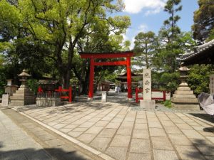 京都駅からひと駅花かんざし　城南宮しだれ梅