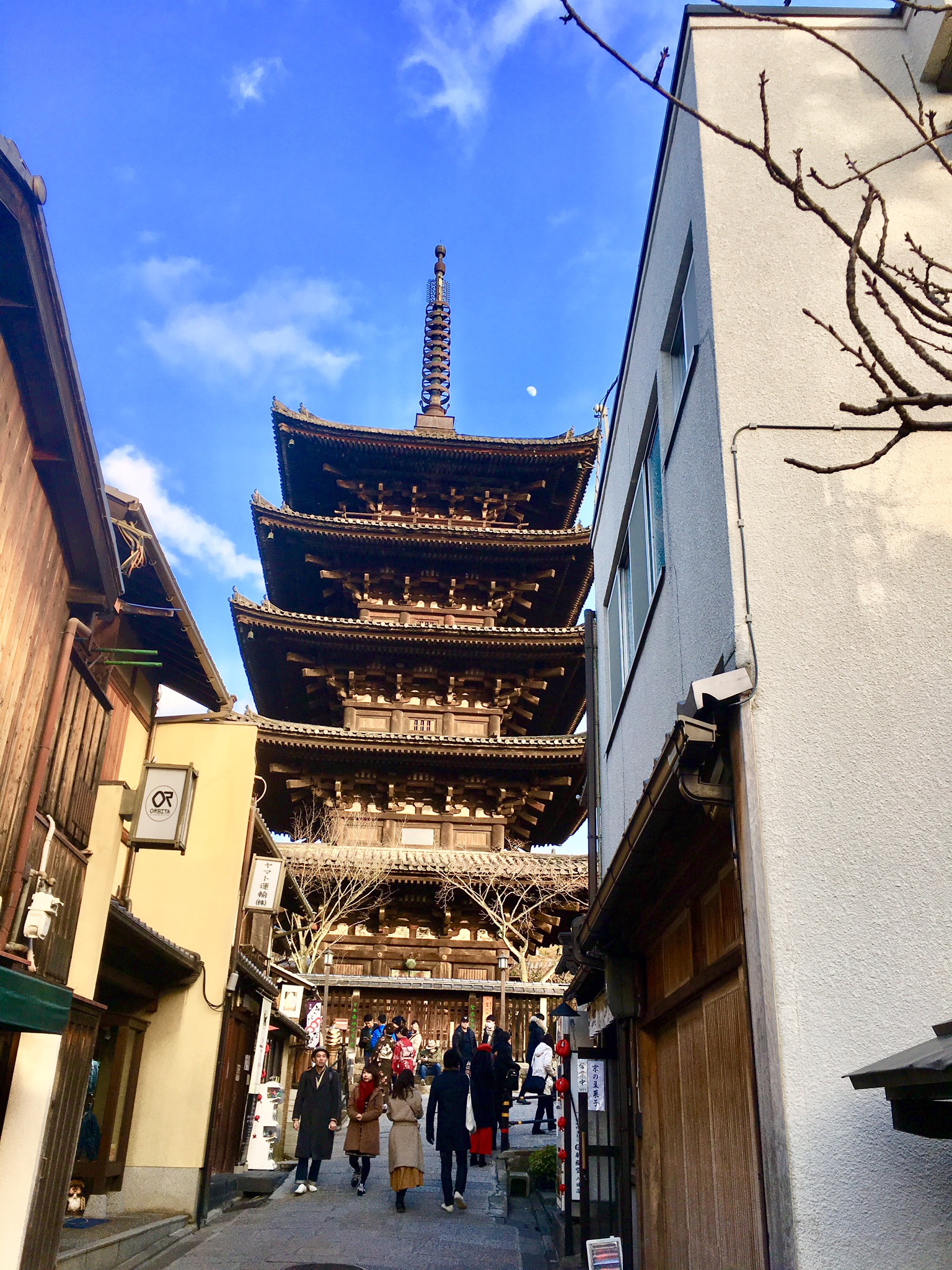 京都駅からひと駅花かんざし