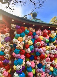 京都駅からひと駅花かんざし　