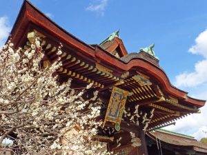 京都駅からひと駅花かんざし　北野天満宮