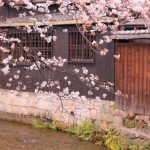 京都着物レンタル花かんざし　祇園の桜