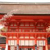 京都着物レンタル花かんざし　下鴨神社の桜