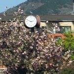 京都着物レンタル花かんざし　八重桜