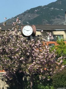 京都着物レンタル花かんざし　八重桜