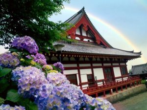 京都着物レンタル花かんざし　紫陽花と虹