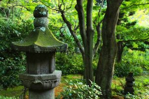 京都着物レンタル花かんざし　初夏の京都