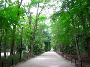 京都着物レンタル花かんざし　下鴨神社　糺の森　光の祭