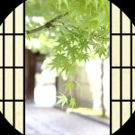 京都きものレンタル　花かんざし