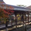 京都着物レンタル花かんざし　大覚寺
