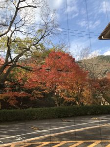 京都着物レンタル花かんざし　秋の京都