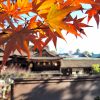 京都着物レンタル花かんざし　秋の京都