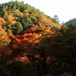 京都着物レンタル花かんざし　京都の秋