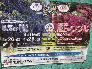 京都着物レンタル花かんざし　藤の花