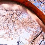 京都着物レンタル花かんざし　桜