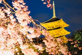 東寺 夜桜ライトアップ 京都着物レンタル花かんざし